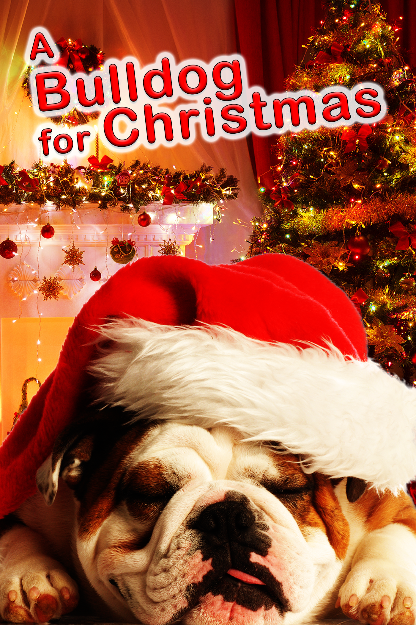 A Bulldog for Christmas